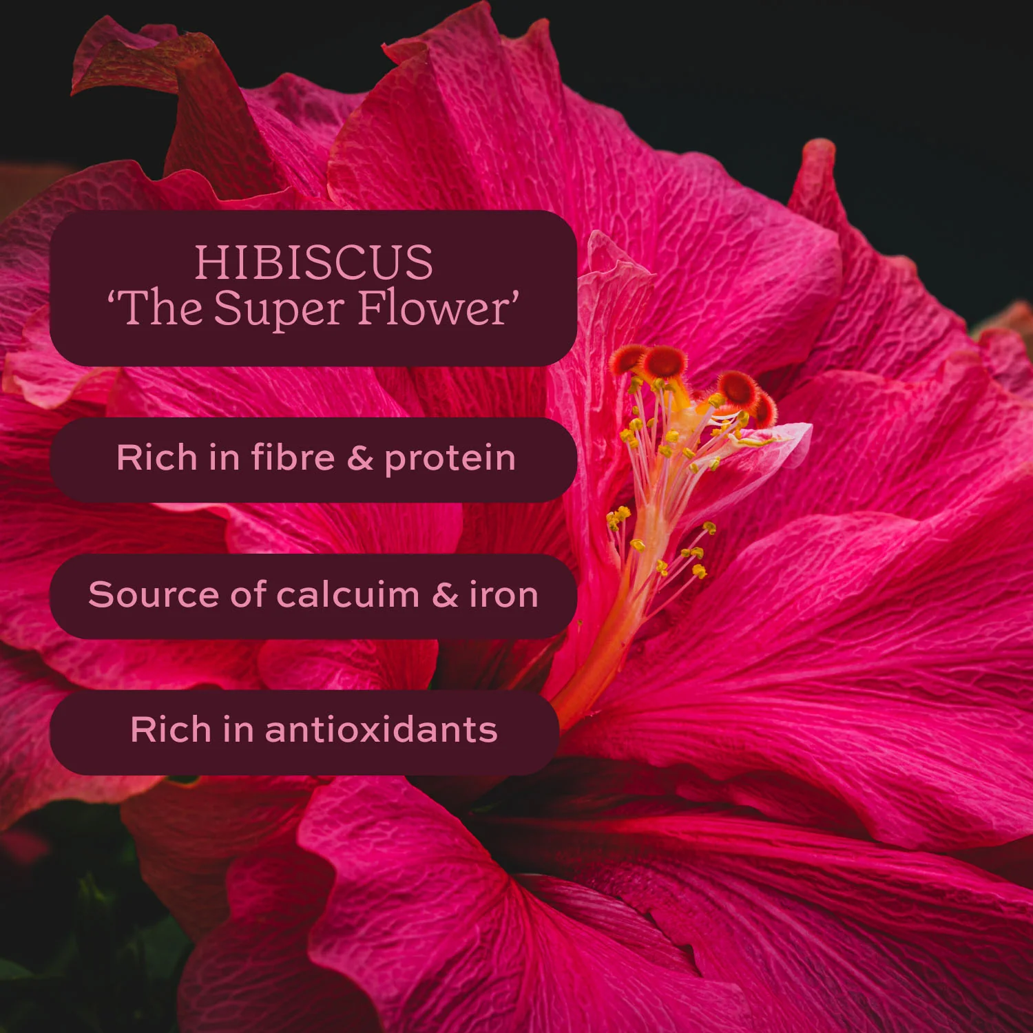 Aduna Radiance Hibiscus Tea with Rosehip & Elderberry 15 bags - Image 5