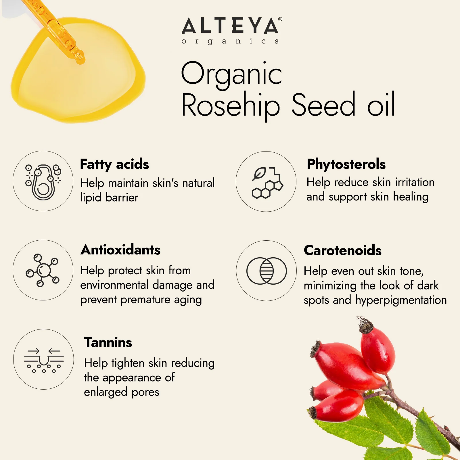 Alteya Organic Rosehip Seed Oil 20ml - Image 3