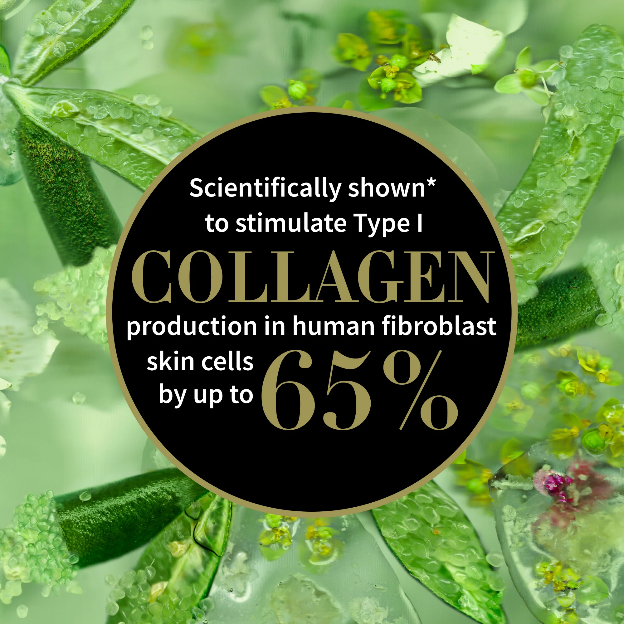 Antipodes Lime Caviar Collagen-Rich Firming Cream 60ml - Image 2