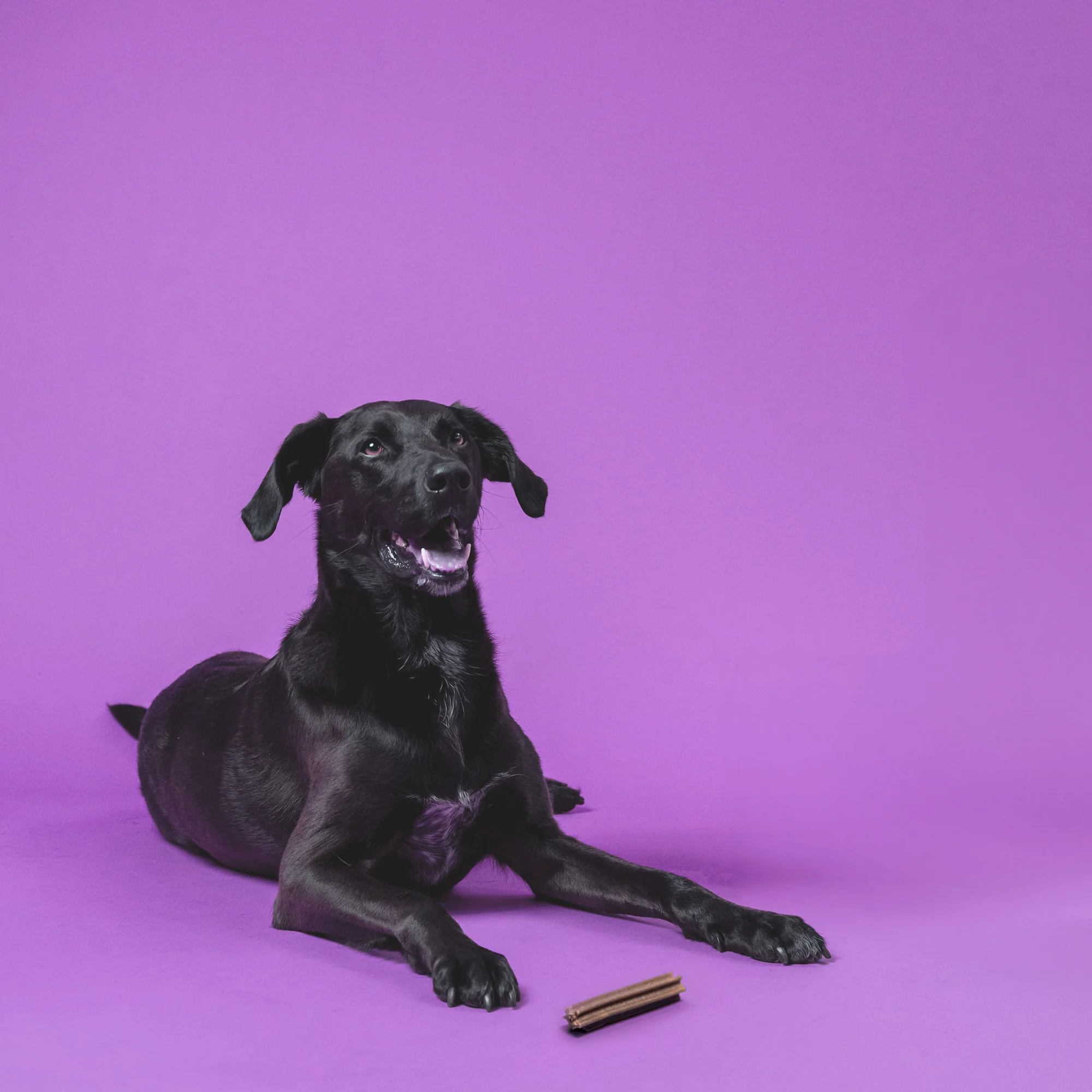 Clean Teeth & Chill 175g - Image 3