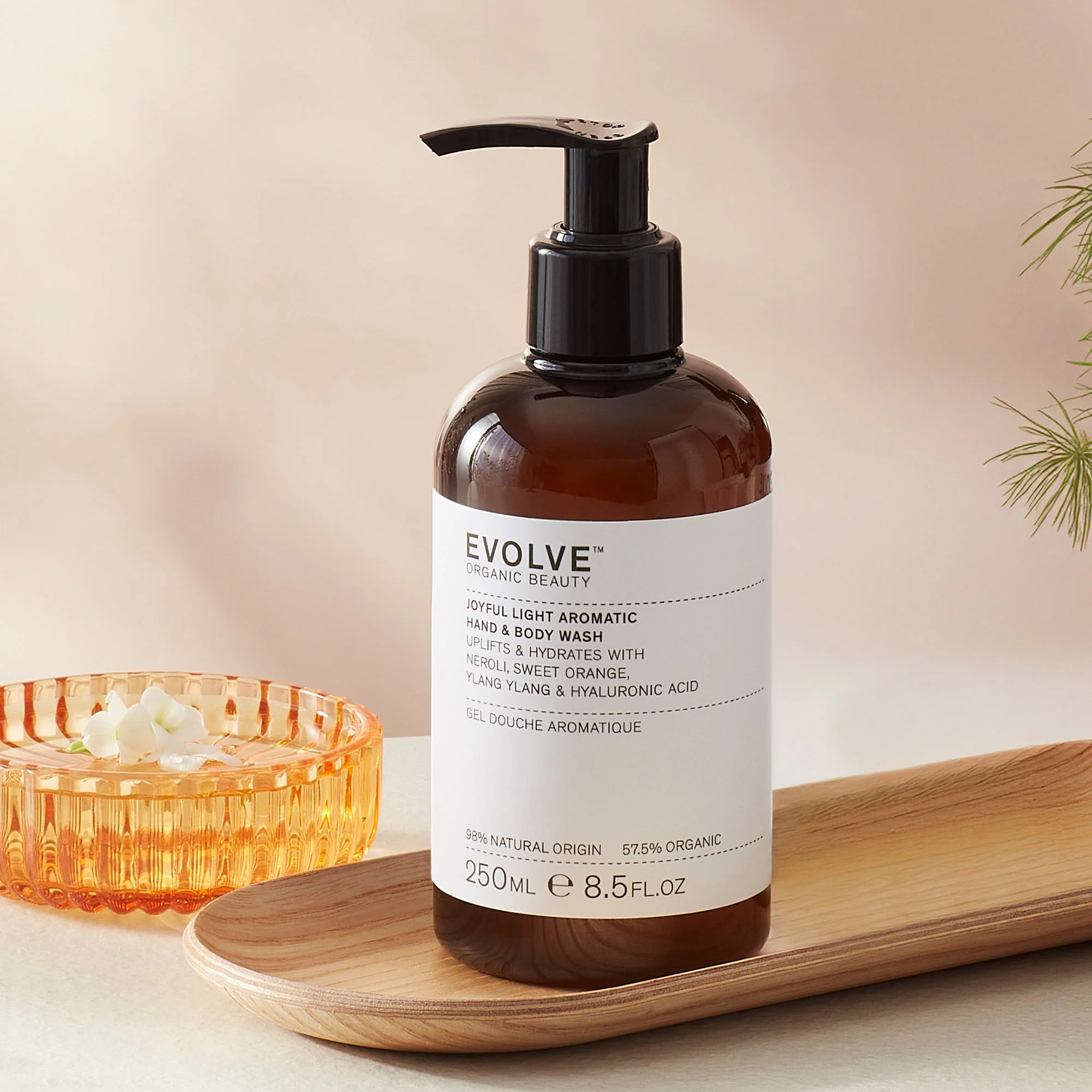 Evolve Joyful Light Hand & Body Lotion 250ml - Image 2