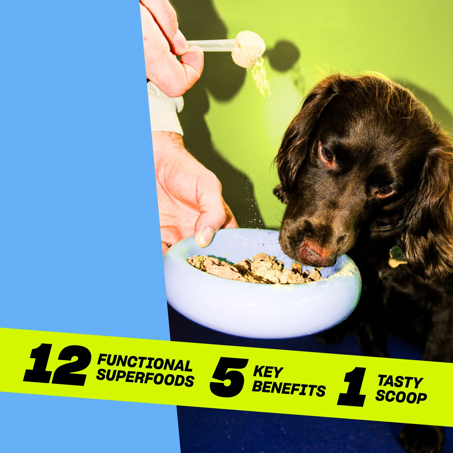 Grub Club Top Dog All-In-One Daily Supplement Topper 300g - Image 4