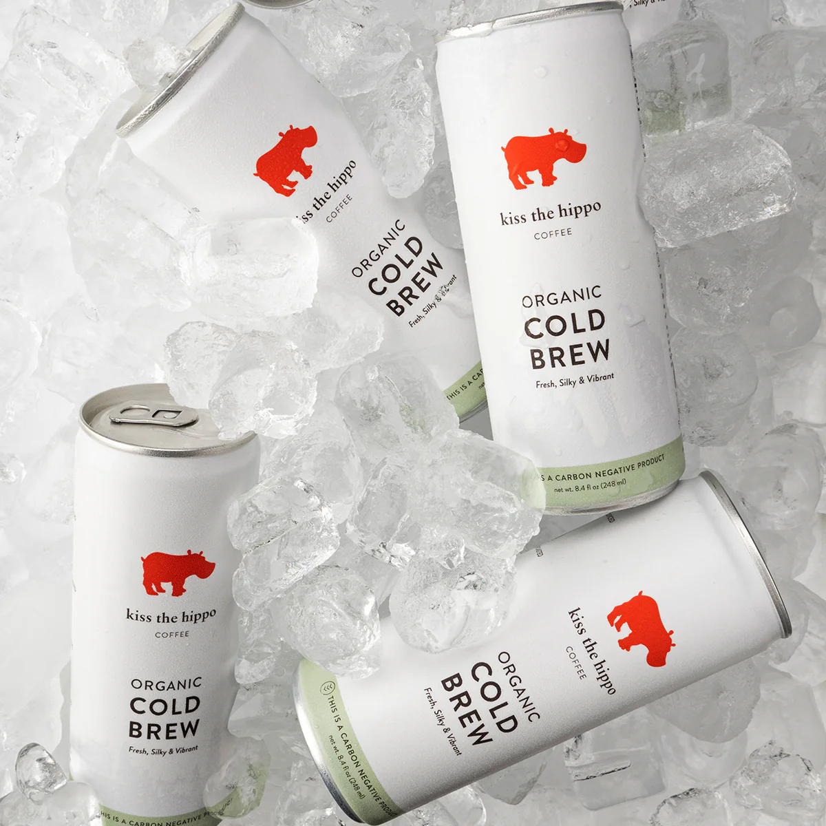 Kiss the Hippo Coffee Organic Cold Brew Can 250ml - Image 3