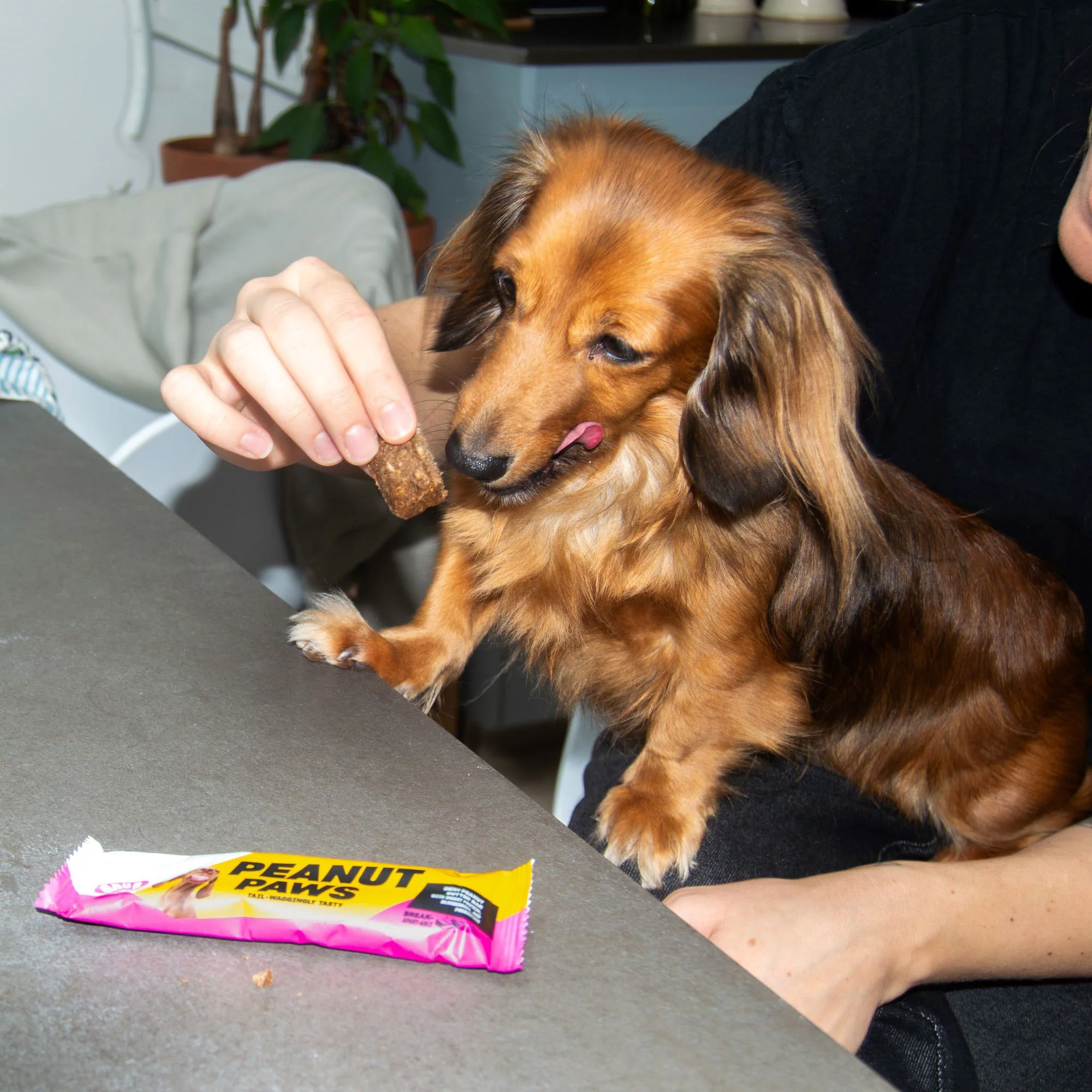 Peanut Paws 35g - Image 3