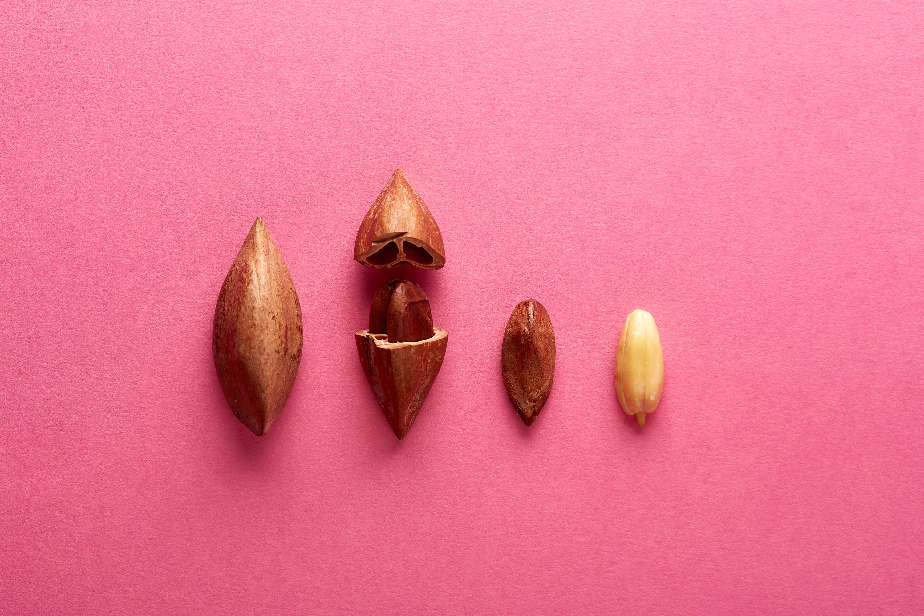Raw & Wild Activated Pili Nuts - Original 70g - Image 5