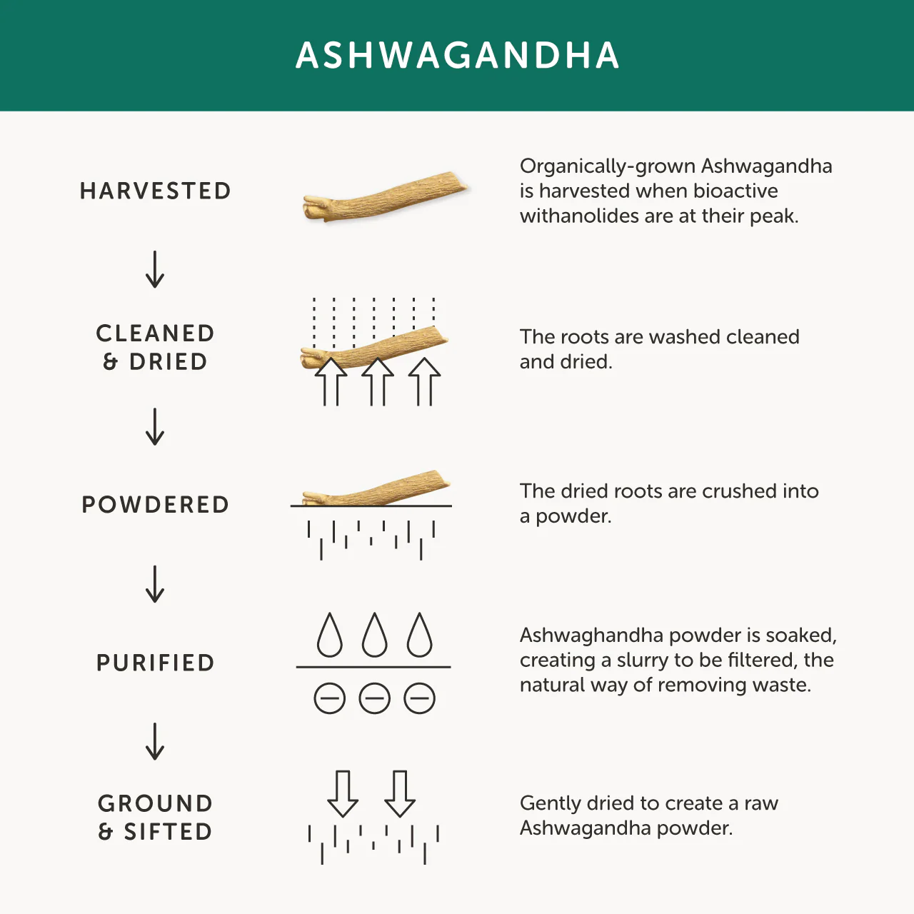 Together Whole Root Ashwagandha 30 caps - Image 5