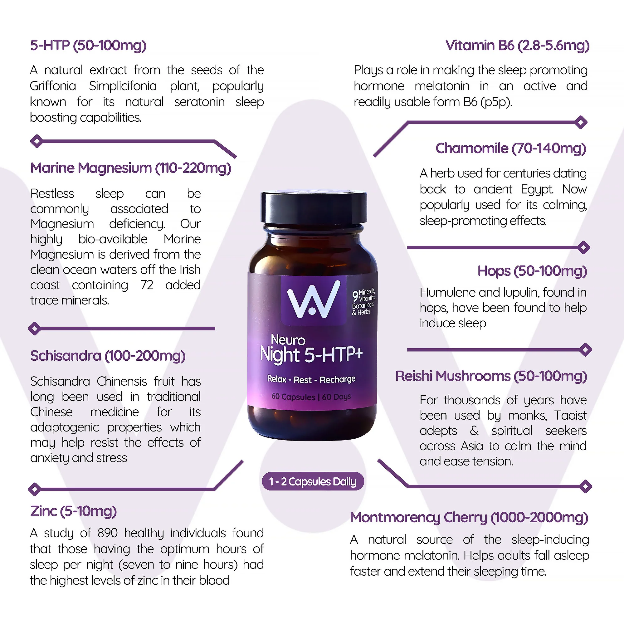 Well. Actually. Neuro Night 5-HTP+ 60 Capsules - Image 3